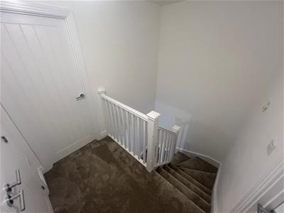 Picture 31